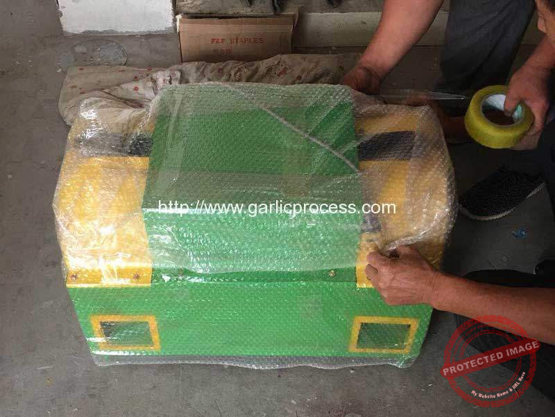 Double-Inlet-Garlic-Root-and-Leaf-Cutting-Machine-for-USA-Customer
